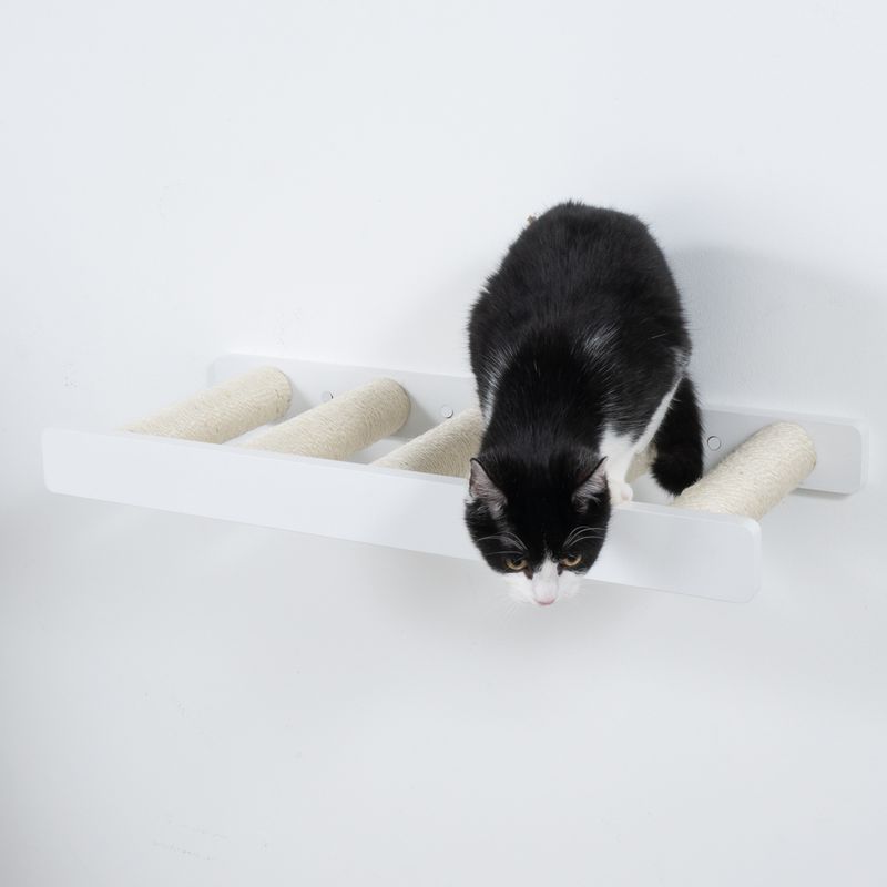 Modern Living San Francisco Scratching Ladder Black