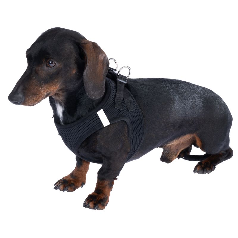 TIAKI Vest Harness Size XXS: approx. 29 - 33 cm Chest Circumference