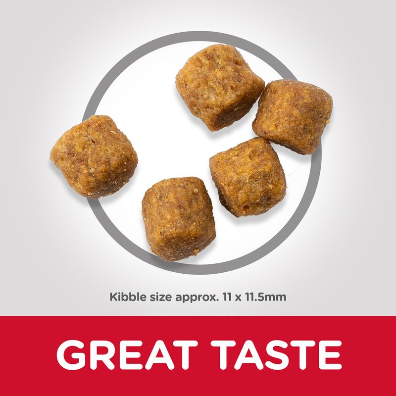 Hill’s Science Plan Mature Adult 7+ Medium with Lamb & Rice 14kg