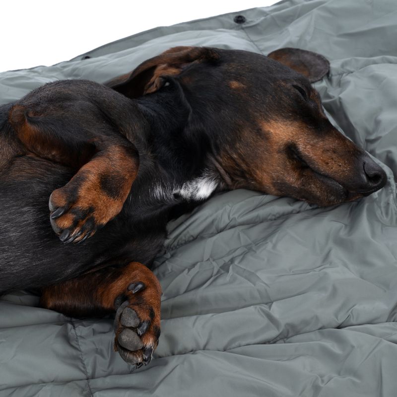 Nomad Tales Spirit Scallion Outdoor Dog Mat 137 x 80 cm (L x W)