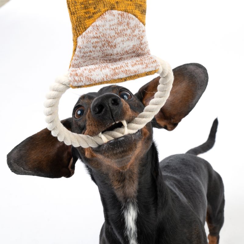 Modern Living Mombasa Giraffe Dog Toy 44cm (Length)