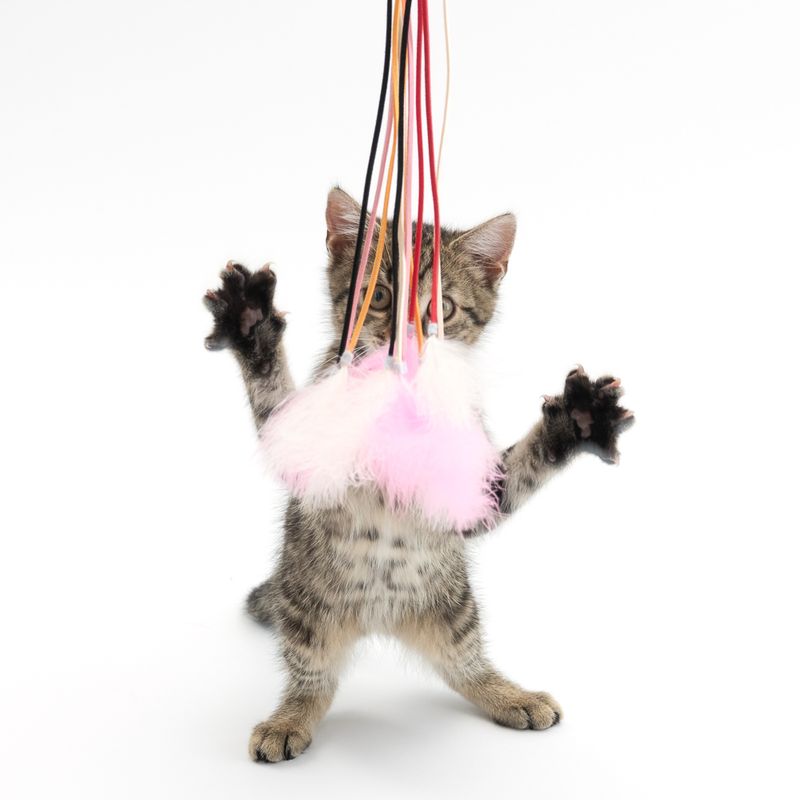TIAKI Cat Dangler Toy with Laces & Feathers 1 Toy