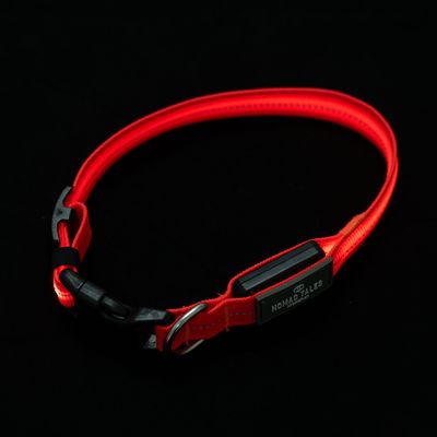Nomad Tales Spirit USB LED Nylon Collar - Orange Size S: Neck circumference 34-41cm