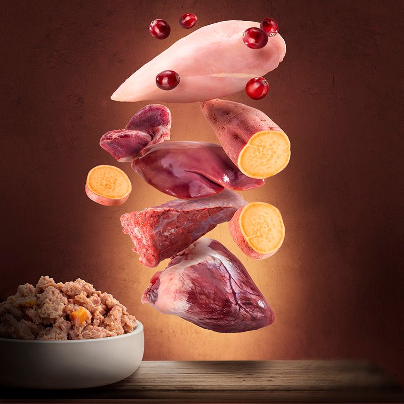 Purizon Single Can 1 x 400g Chicken Fillet with Black Angus Beef & Turkey