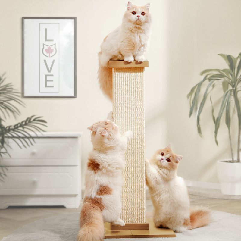 Canadian Cat Company Kenny Scratching Post Beige
