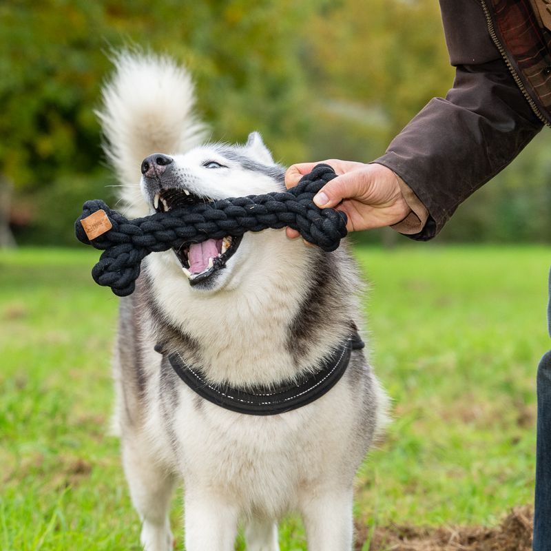 Modern Living Papua Rope Bone 30cm (L)