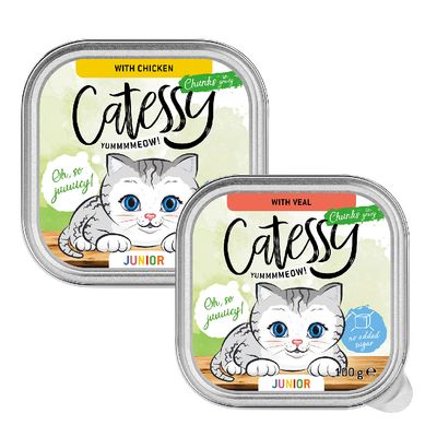 Catessy Junior Chunks in Gravy Mixed Pack Saver Pack: 32 x 100g