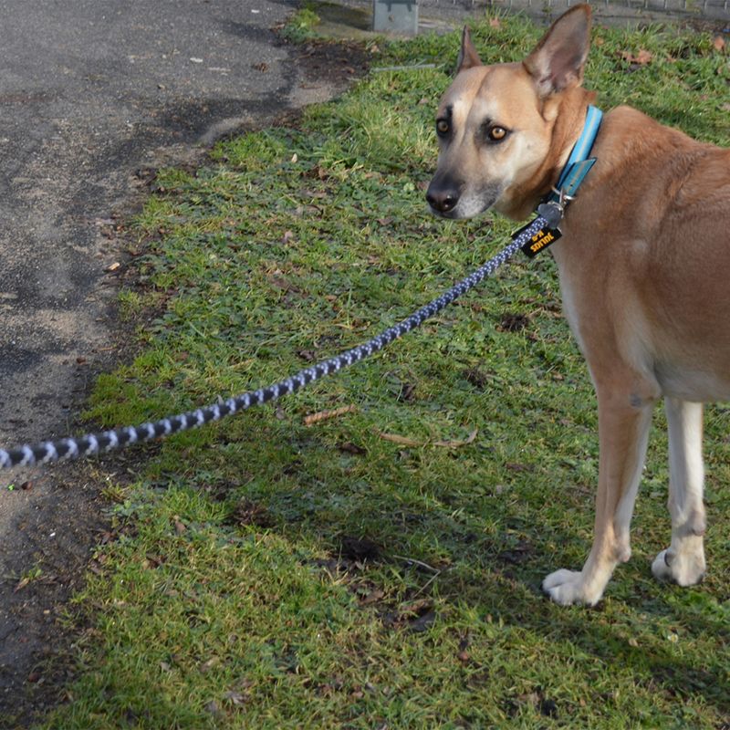 JULIUS-K9 IDC® Rope Lead Black: 120cm Length, diameter 10mm