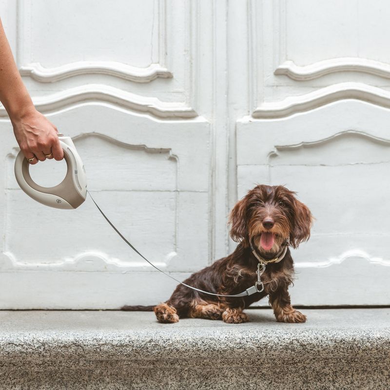 Nomad Tales Calma Retractable Lead with LED up to 15kg, approx. 3m (L)