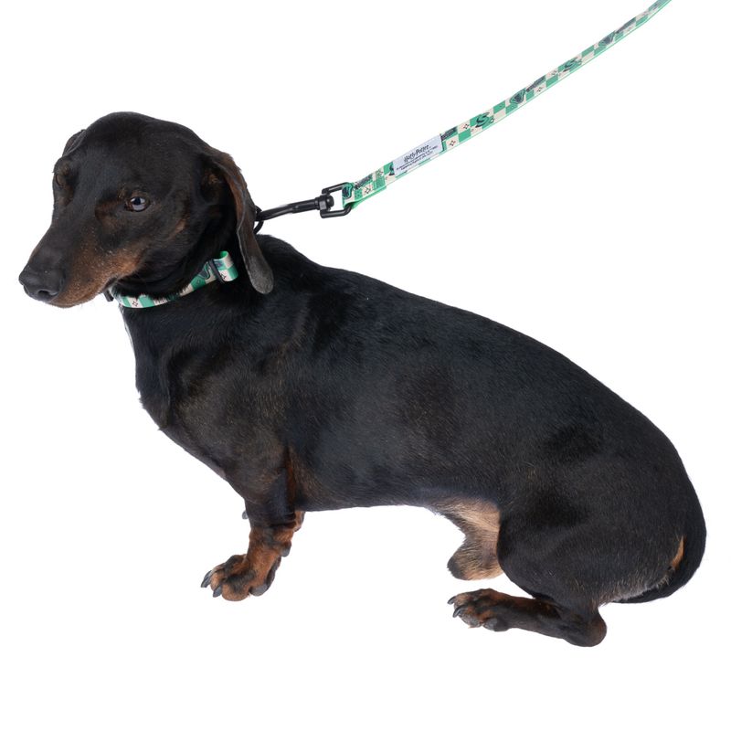 Harry Potter Slytherin Collar - Green Size S: Neck Circumference 25 - 36 cm, Width 20mm