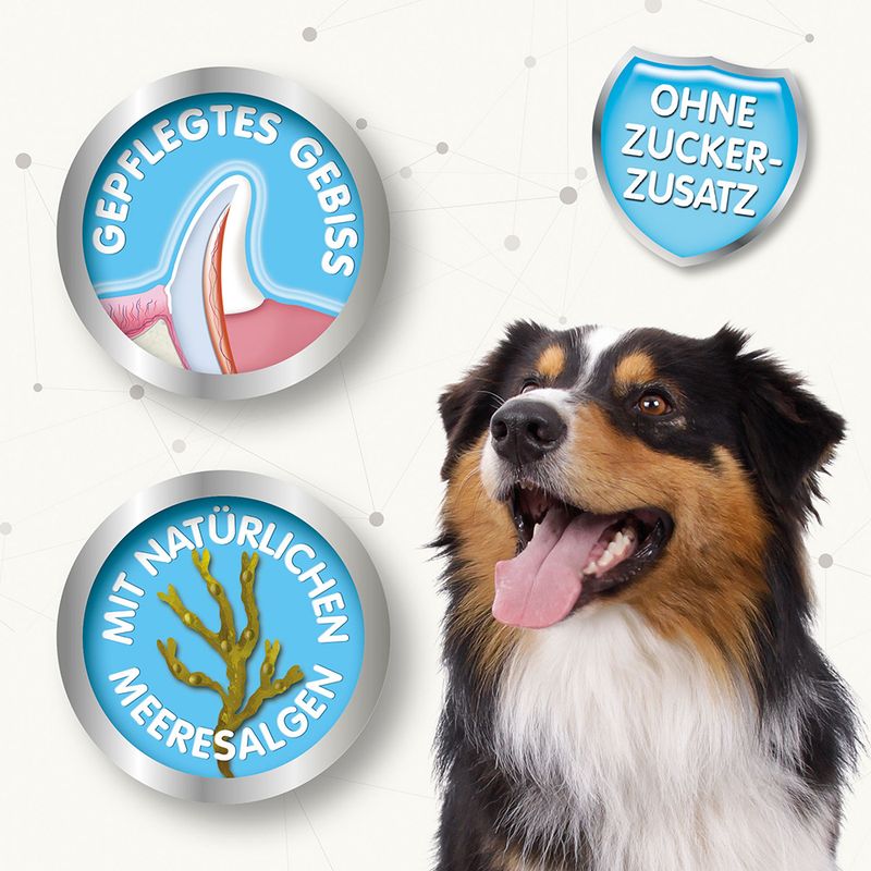 Beaphar dental hygiene sticks S, 7 pieces