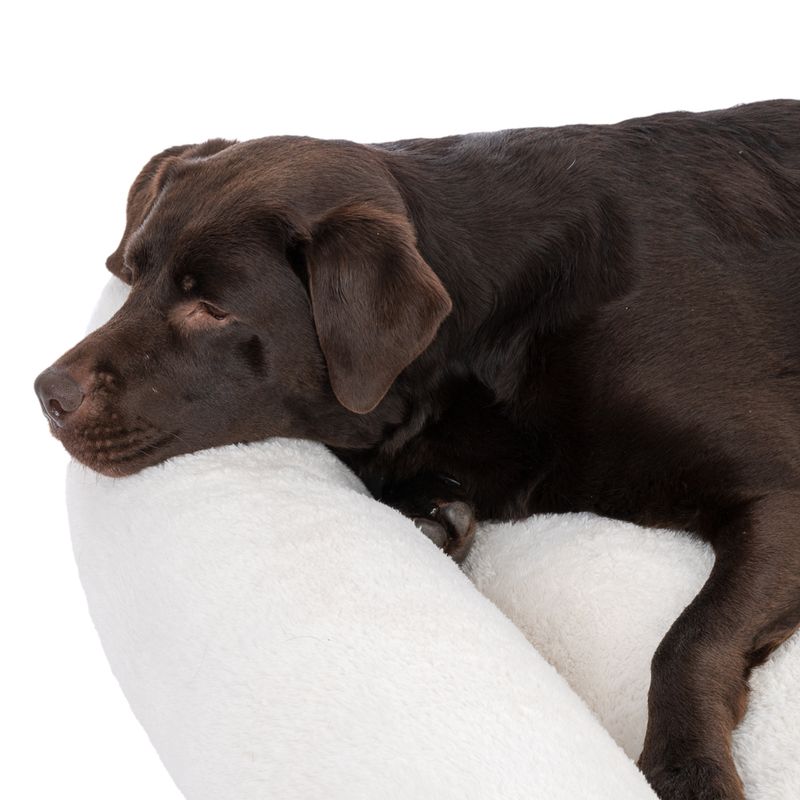 TIAKI Lazy Bear Dog Bed – Ecru Size M: 70 x 55 x 20cm (L x W x H)
