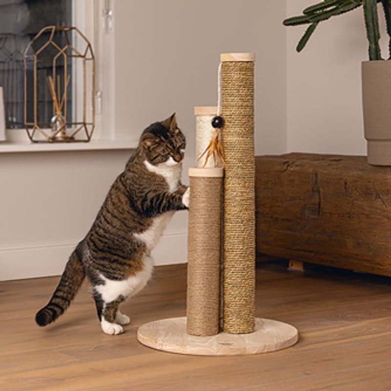 Designed by Lotte Willa Wooden Scratching Post Natural