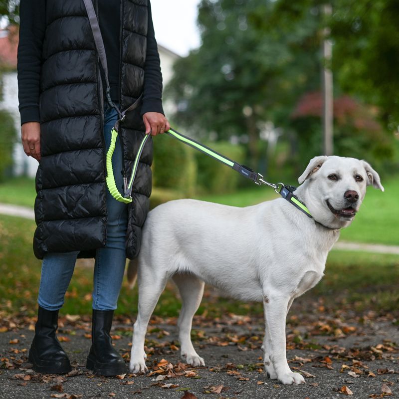 Kerbl Pet Light & Reflex Set Illuminated Collar and Lead Set: Collar Size S/M + Lead 120cm