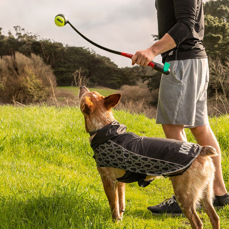 KONG HandiPOD Ball Launcher & Poop Bag Dispenser 1 toy