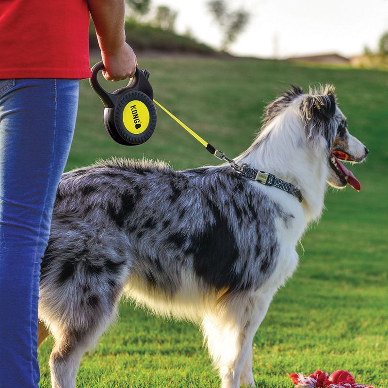 KONG Reflect Dog Lead - Black M: up to 30kg, length approx. 5m