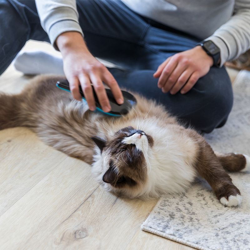 Trixie Soft Brush approx. 19cm (L)