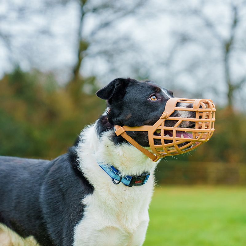 Baskerville Classic Muzzle — Beige Size 5