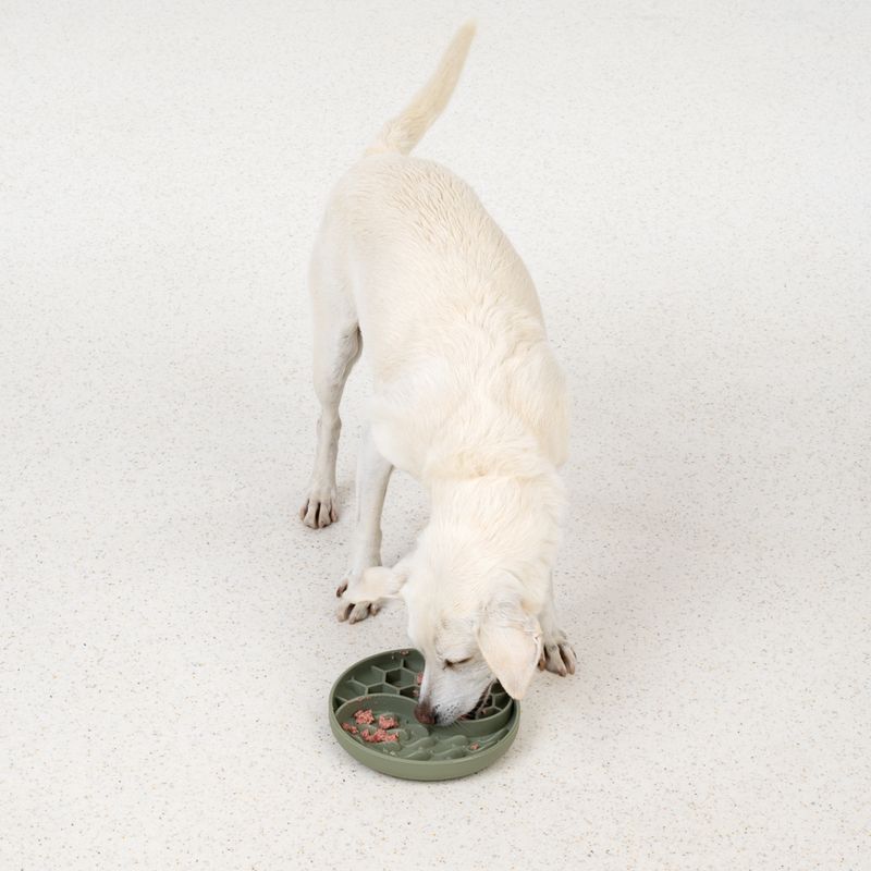 TIAKI Honeycomb Silicone Slow Feeder approx. 19 x 3.5cm (Diameter x H)