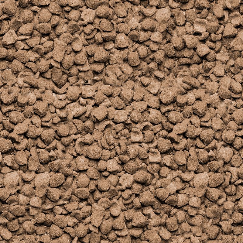 Beaphar Care + Guinea Pig 5kg