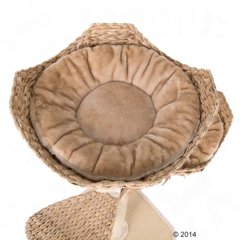 Flower Cat Tree Cream