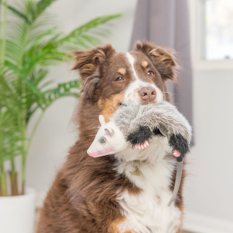 Hyper Pet Real Skinz Opossum approx. 30 x 15 x 8cm (L x W x H)