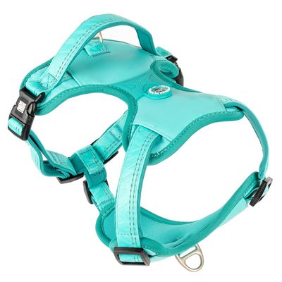 Max & Molly Sports Harness Matrix 2.0 - Turquoise Size S: 44 - 55cm Chest Circumference