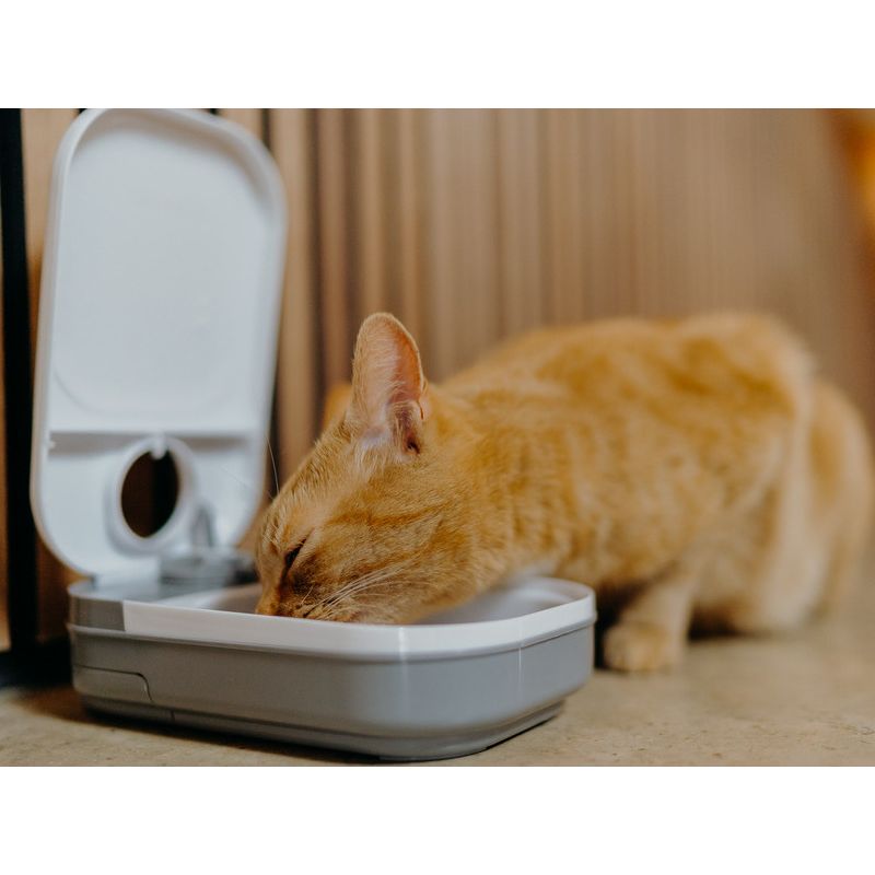 Cat Mate C100 Automatic Feeder 400g
