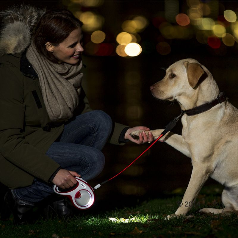 flexi LED Lighting System 5m Small flexi New Classic Red Rope Lead