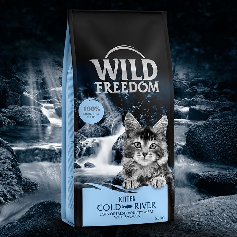 Wild Freedom Kitten \