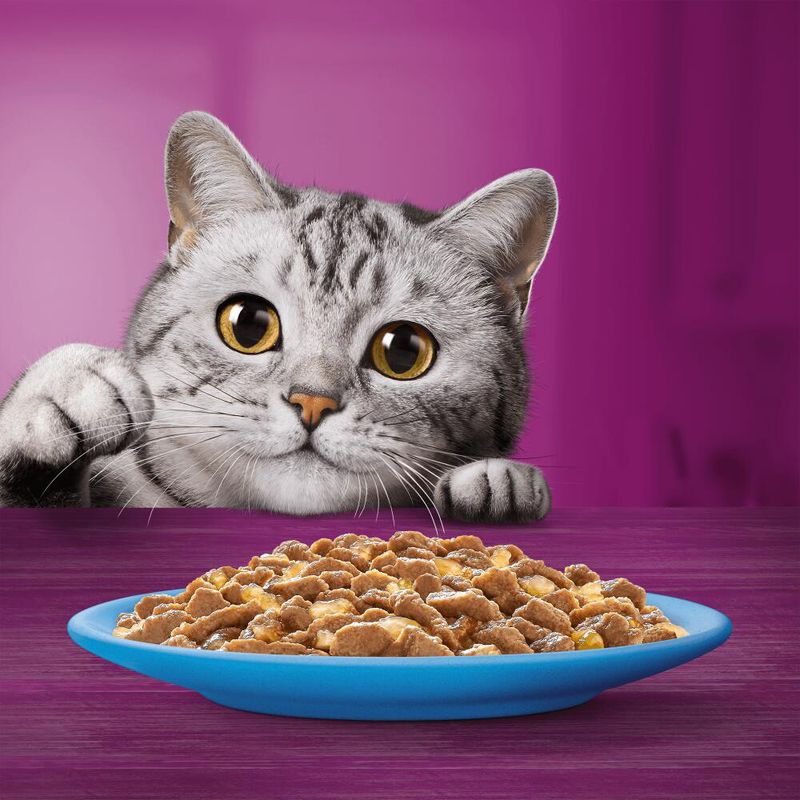 Whiskas 1+ Adult Pouches Saver Pack 48 x 85g Poultry Feasts in Jelly