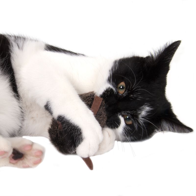 Wild Mouse Cat Toy with Sounds and LED Eyes 1 Toy