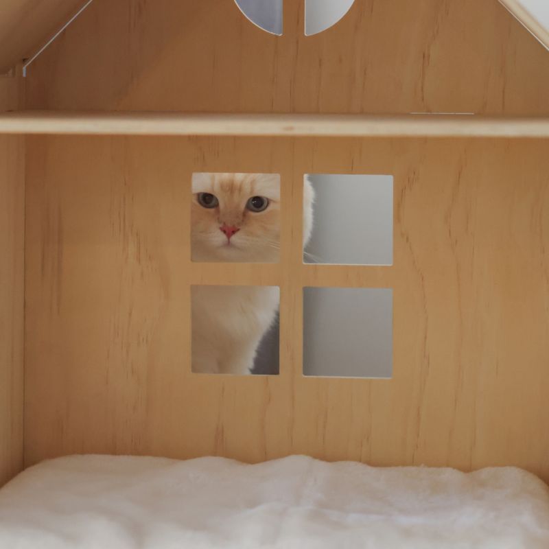 Kerbl Pet Cat House Yvi 50 x 38 x 67cm (L x W x H)