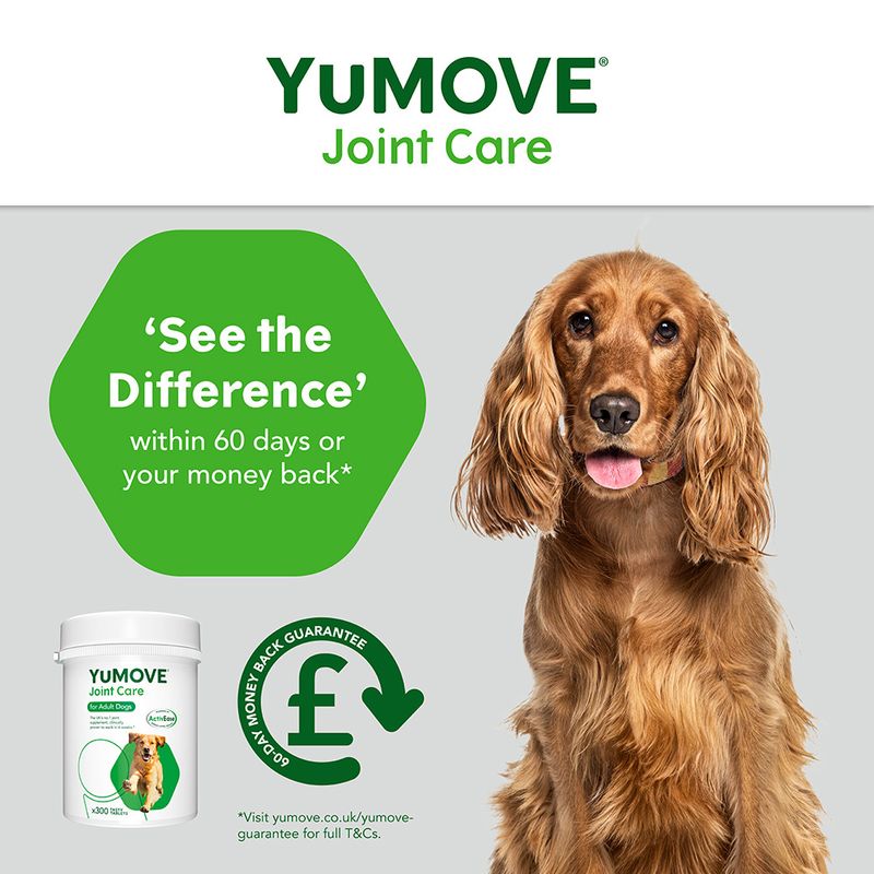 YuMOVE Joint Care for Adult Dogs 60 Tablets