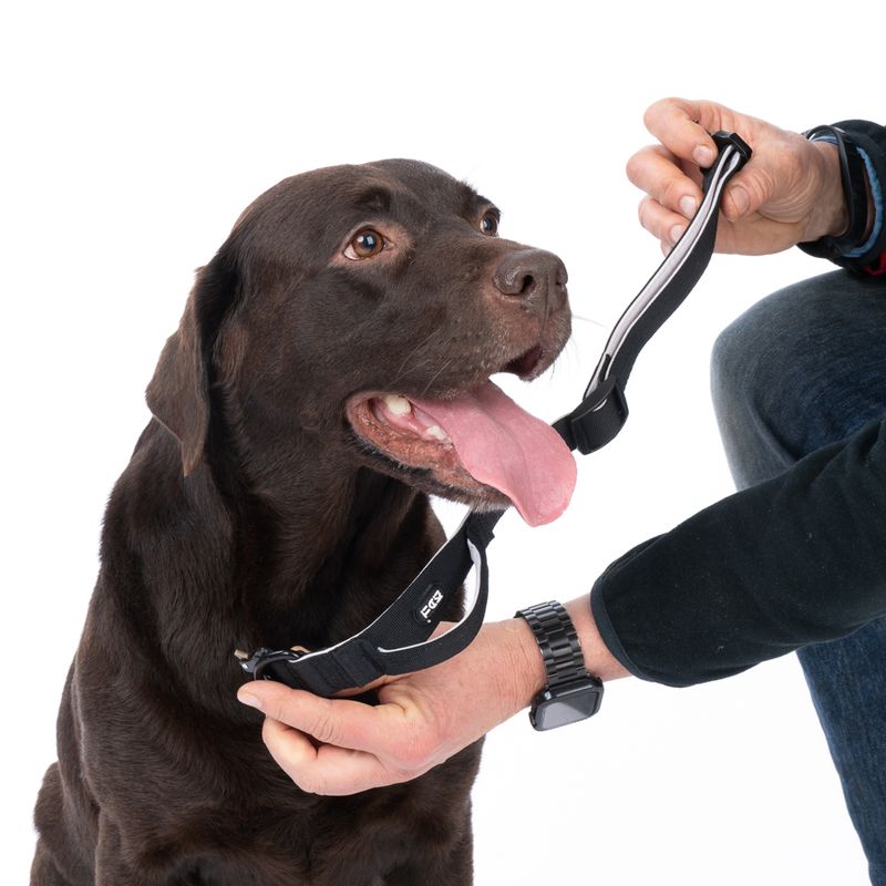 TIAKI Safety Collar Size S: 35 - 50 cm Neck Circumference, 25mm Width