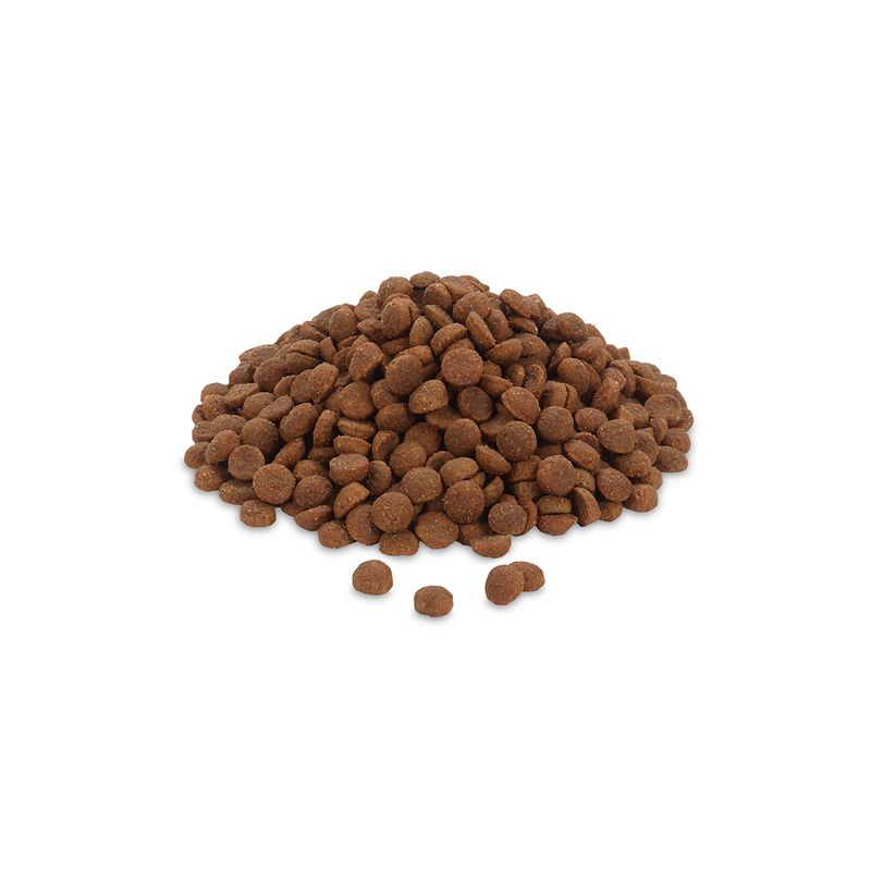 Feringa Adult Classic Turkey 2kg