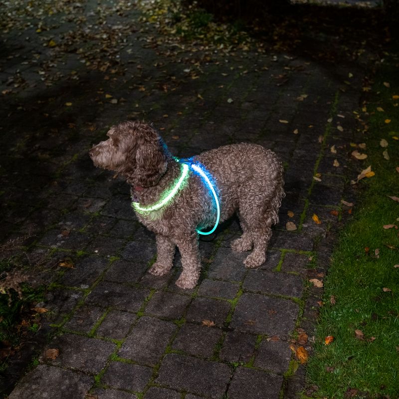 Nomad Tales Spirit USB LED Harness One Size: 90cm (max. Chest Circumference)