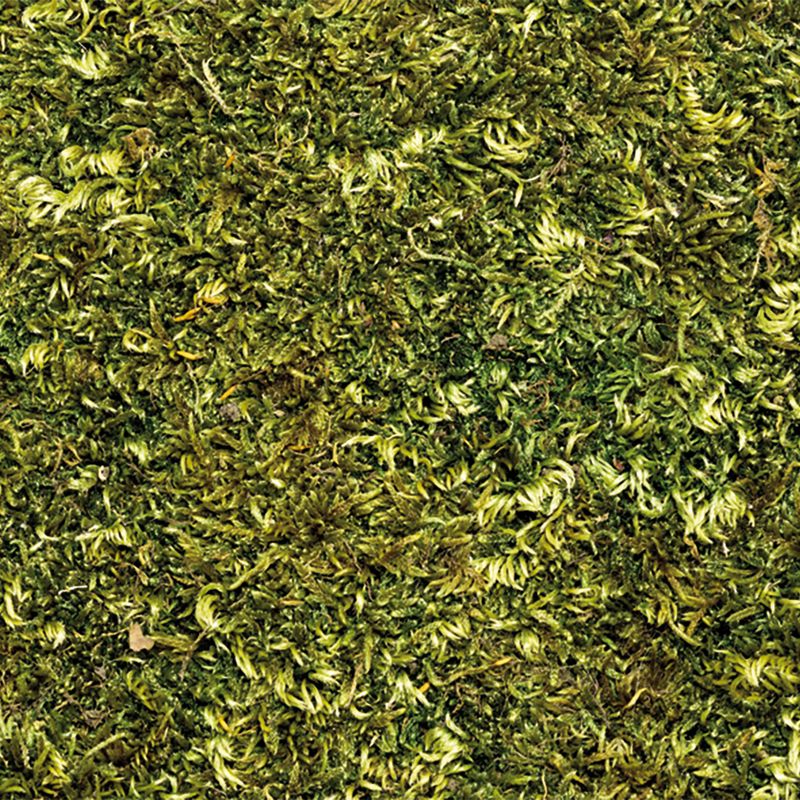 Hugro Moss Panels Approx. 30cm, 2 Sheets
