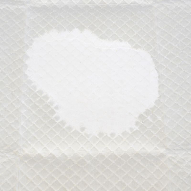 kooa Travel Puppy Pads with Scent 15 Pads