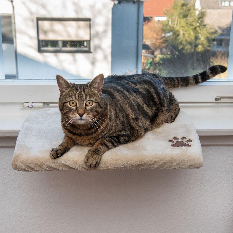 Pluschi Windowsill Seat 50 x 35 x 5cm (L x W x H)