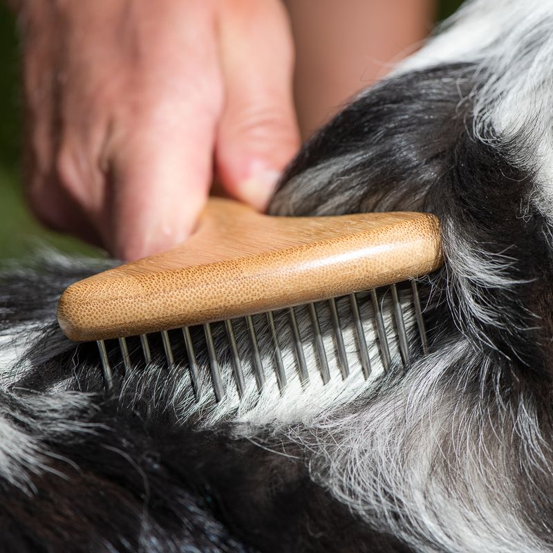 kooa Bamboo Undercoat Rake with Rotating Pins 17.5 x 10cm (L x W)