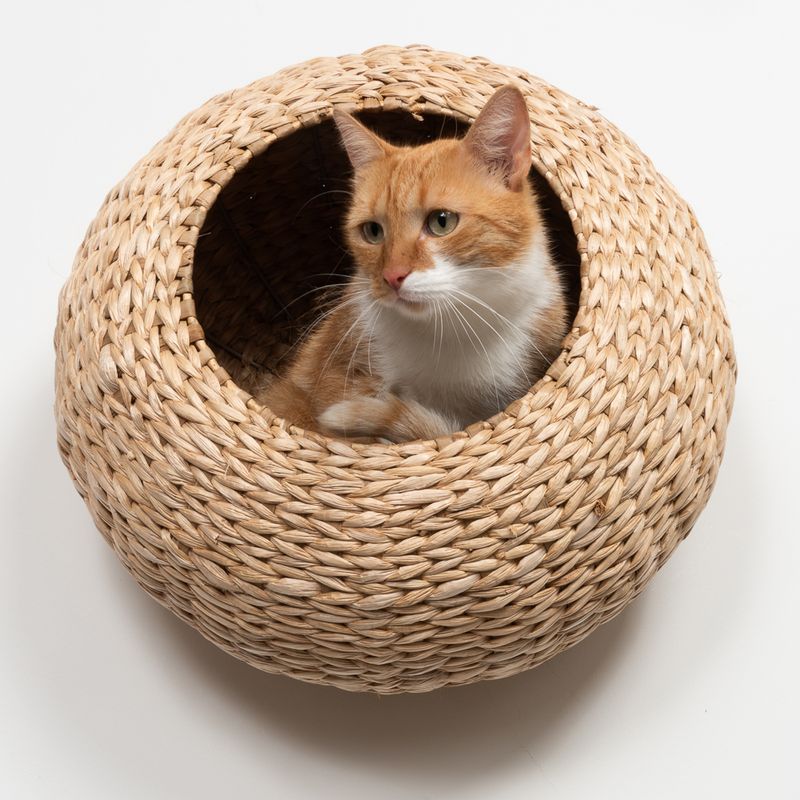 Modern Living Luxor Wall-Mounted Cat Bed 45 x 25 x 45cm (L x W x H)