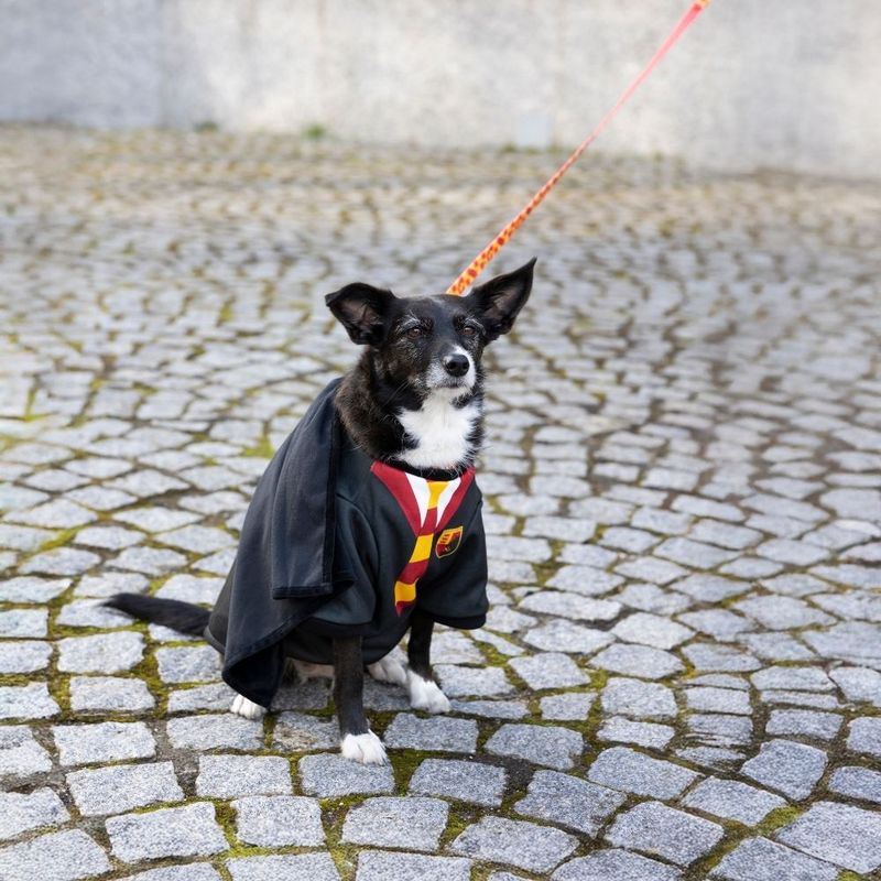 Harry Potter Dog Costume Size S/M: Back Length 35cm