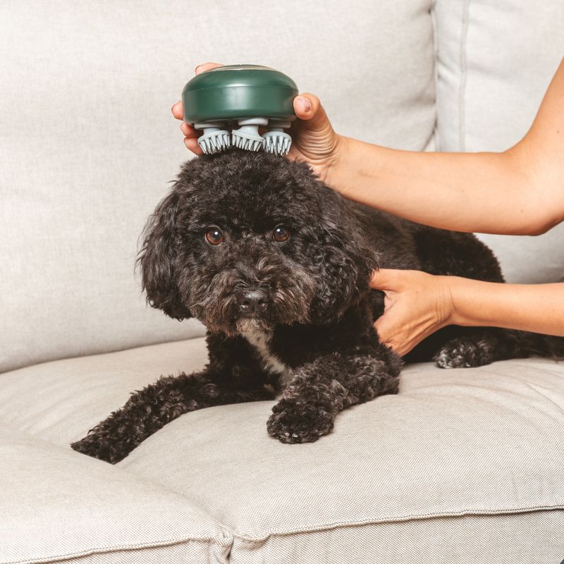 kooa Massager approx. 9.5 x 7cm (diameter x H)