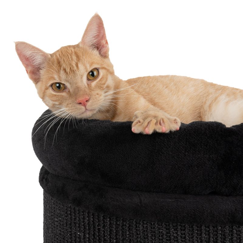 Diogenes Scratching Barrel - XL Beige