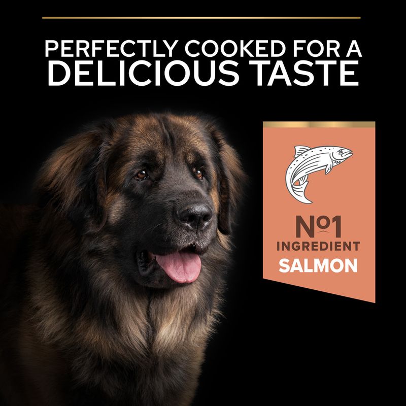 PURINA PRO PLAN Large Robust Adult Sensitive Skin Salmon 14kg