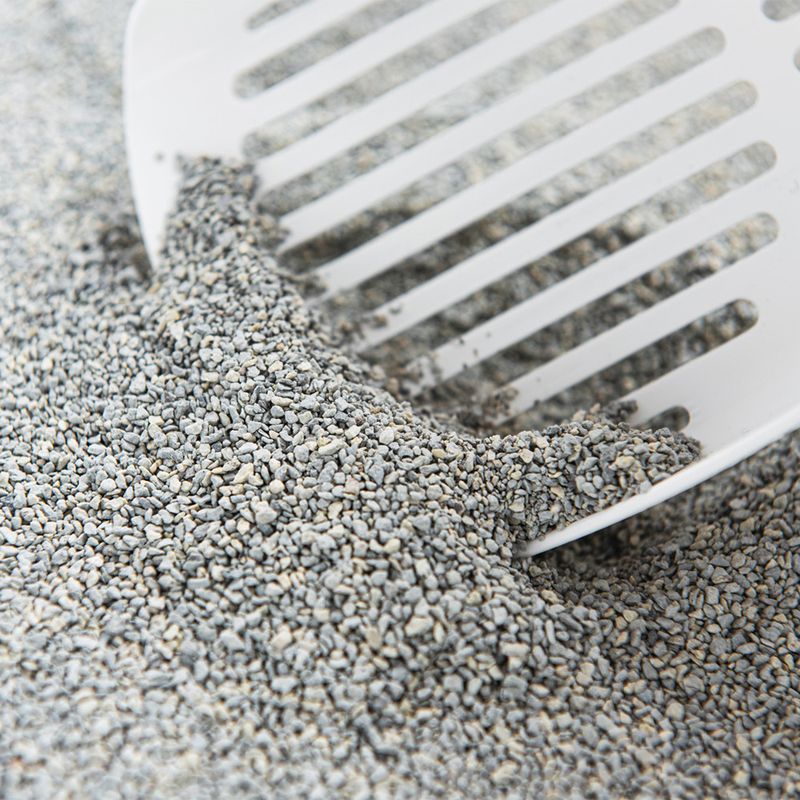 ODOURLOCK Lavender Scent Cat Litter 12kg