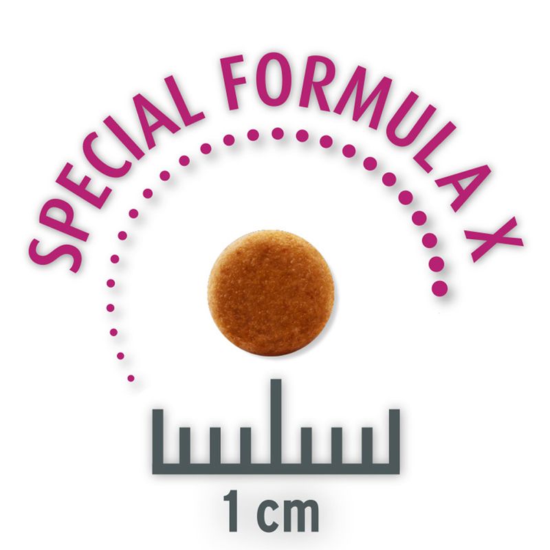 Concept for Life Economy Packs Sterilised Cats - Salmon (2 x 10 kg)