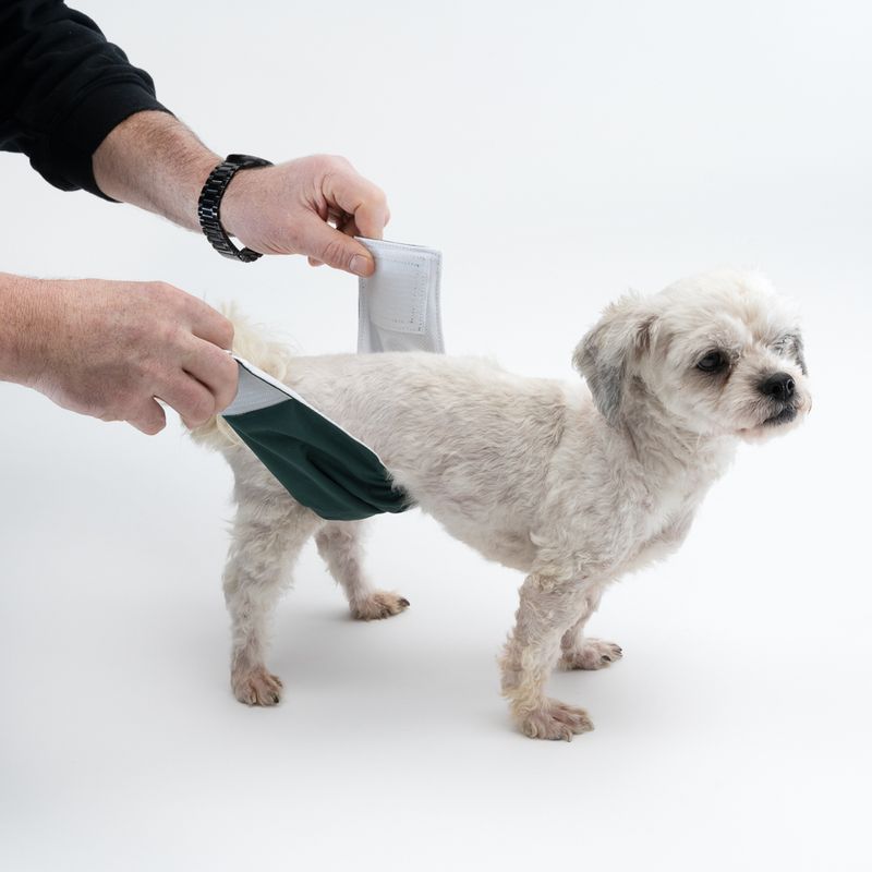 kooa Washable Nappy for Male Dogs Size S