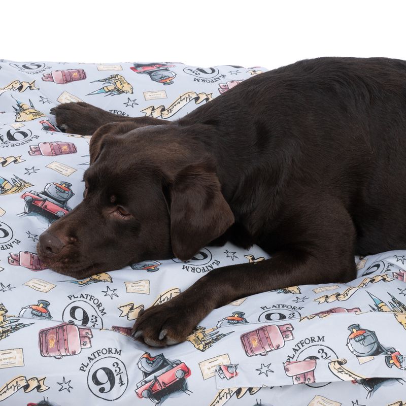 Harry Potter Hogwarts Express Dog Mattress Size S: 80 x 50 x 15 cm (L x W x H)